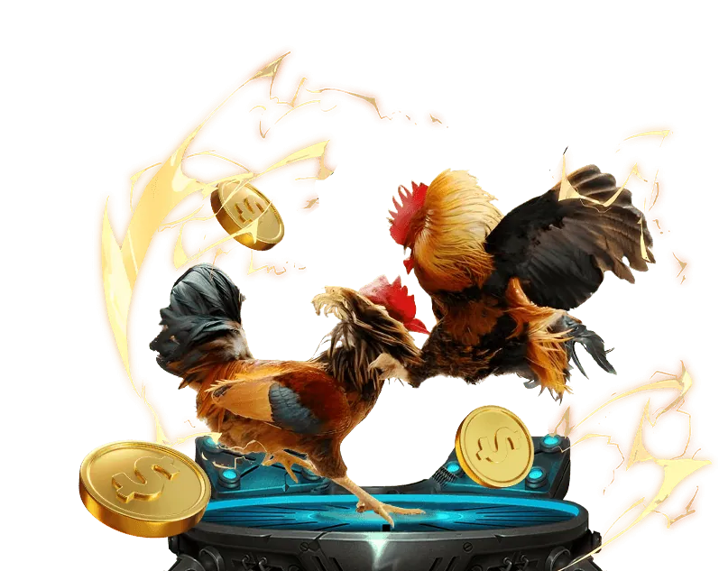 Rút tiền nhanh chóng và minh bạch từ nền tảng cá cược